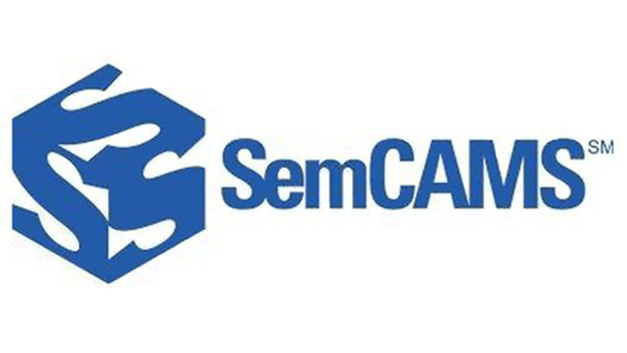 Kentucky Microsoft Semcams Consultant