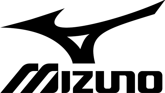Michigan Microsoft Mizuno Consultant