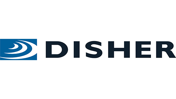 Nevada Microsoft Disher Consultant