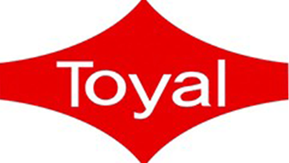 Texas Microsoft Toyal Consultant