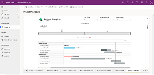 Project Essentials PM Project Timeline